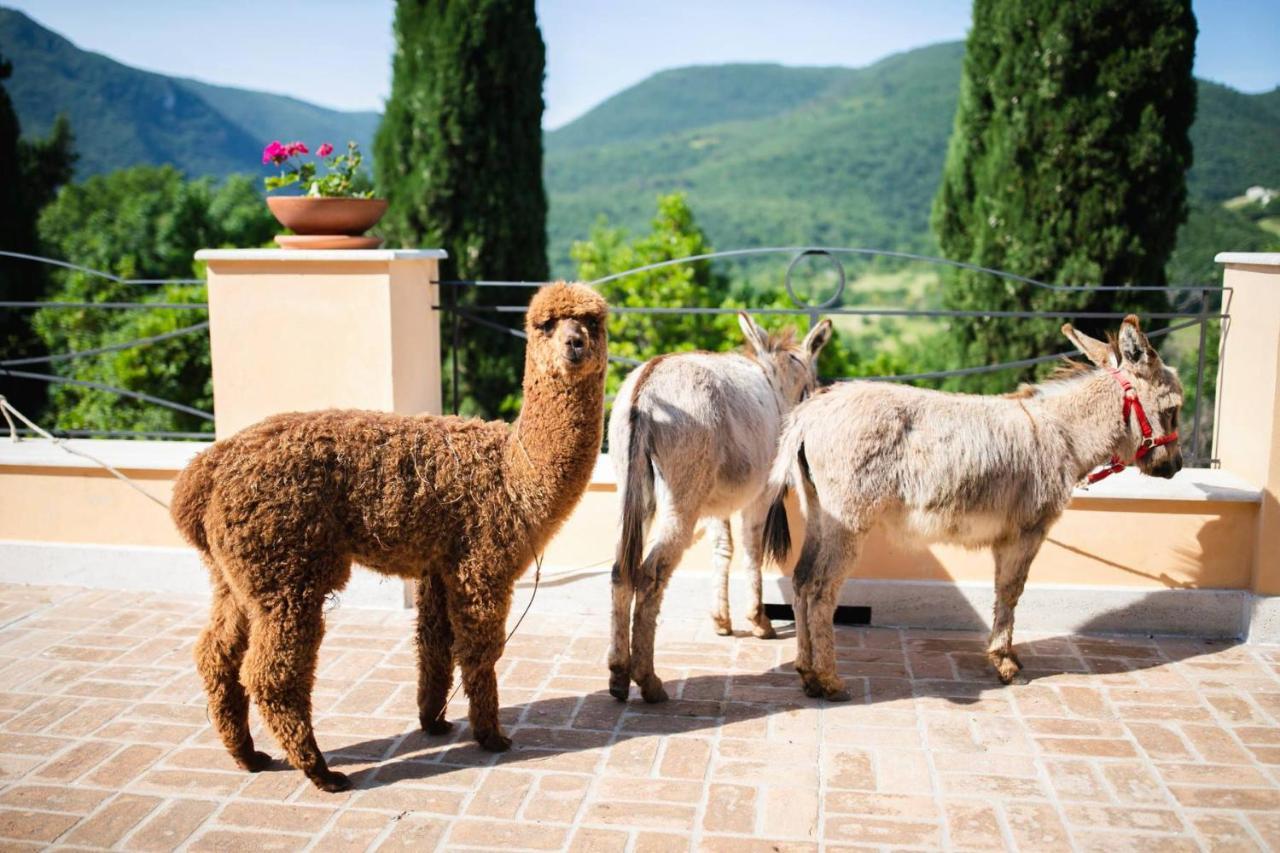 Borgo Incantato Spoleto Pompagnano ภายนอก รูปภาพ