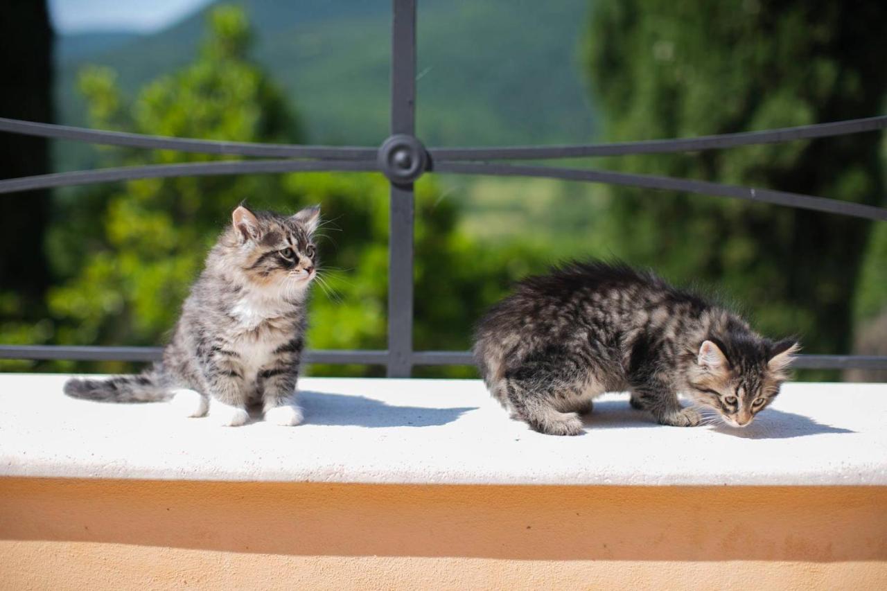 Borgo Incantato Spoleto Pompagnano ภายนอก รูปภาพ