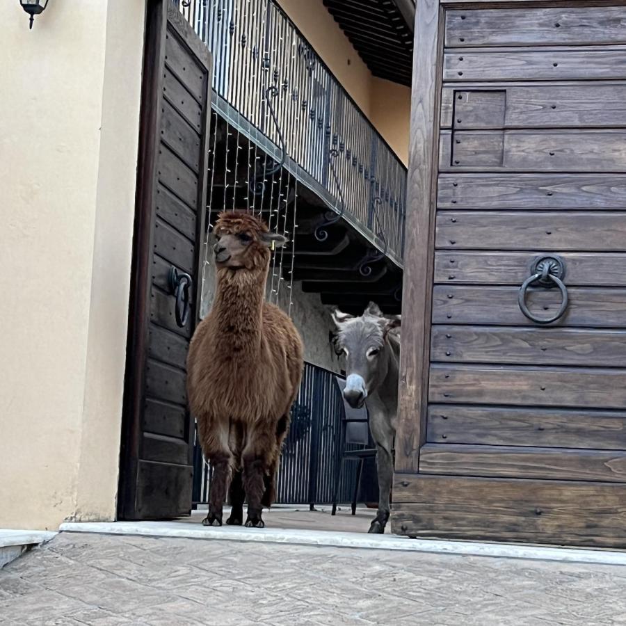 Borgo Incantato Spoleto Pompagnano ภายนอก รูปภาพ
